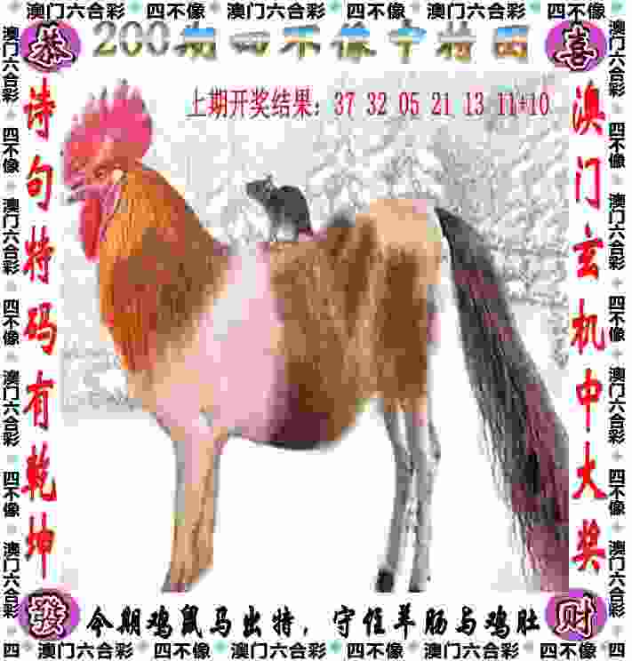 >新门内部资料最新更新